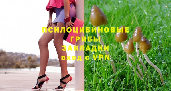герыч Магас