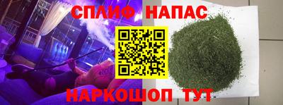 PSILOCYBIN Кингисепп