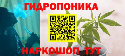 СК Балаково