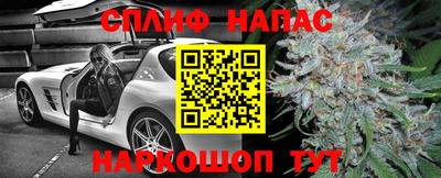 СК Балаково